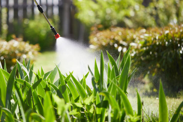 24/7 Emergency Cockroach Control experts in Blakely, GA
