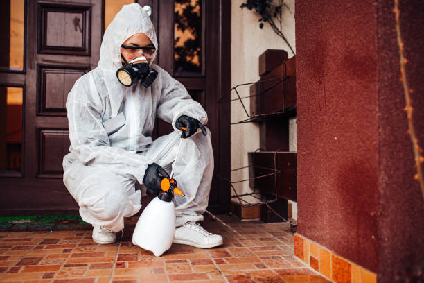 Reliable Cockroach Control contractor in Blakely, GA by Nex Pest Control